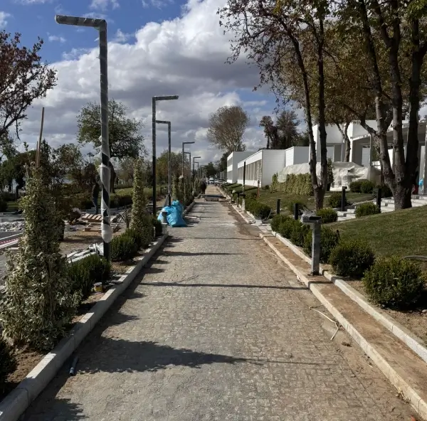 Dikey bahçelerden yeşil çatılara