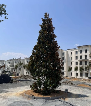 Sakarya Peyzaj ve inşaat sektöründe faaliyet gösteren firma